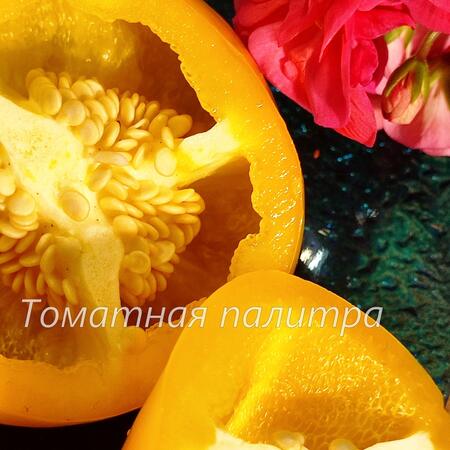 Томат Перец ЛЕСЯ ЖЕЛТАЯ