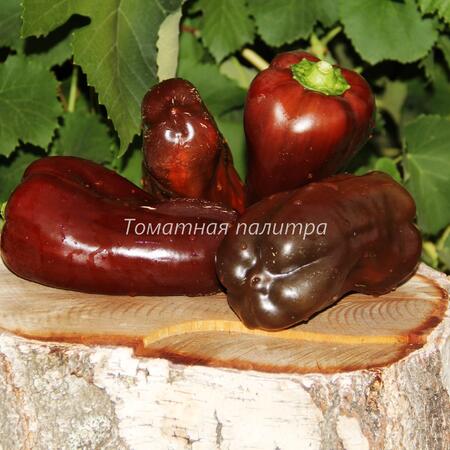 Томат Перец КАРАМЕЛЬ