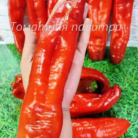 Томат Перец СВИТ ПОИНТ (Sweet Point)