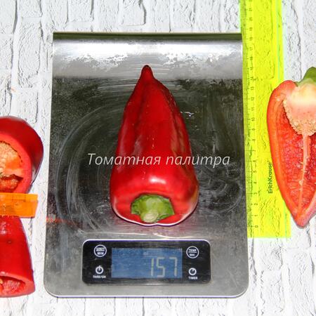 Томат Перец НОКТЮРН