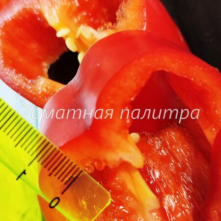 Томат Перец КИТАЙСКАЯ СТЕНА