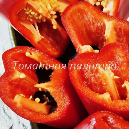 Томат Перец КОРНО ДИ ТОРО КРАСНЫЙ (CORNO DI TORO ROSSO)