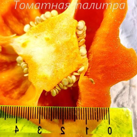 Томат Перец ОРАНЖЕВЫЙ КОРОЛЬ