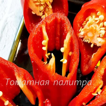 Томат Перец ТАРАС