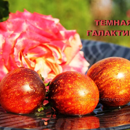 Томат Набор КОРОЛЕВЫ БАНОК