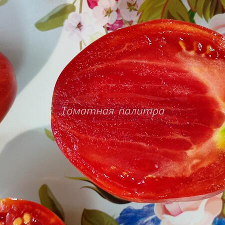 Томат БЫЧЬЕ СЕРДЦЕ ОГРОМНОЕ МИНУСИНСКОЕ