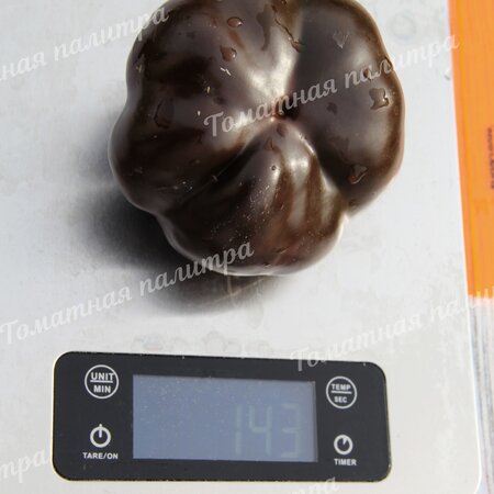 Томат Перец ТОМАТНЫЙ ШОКОЛАДНЫЙ (Tomatenpaprika Chocolate)