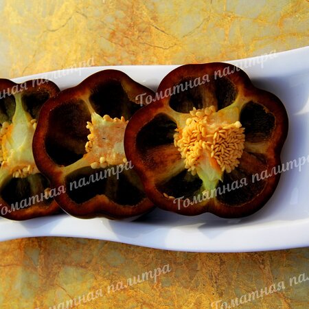 Томат Перец ТОМАТНЫЙ ШОКОЛАДНЫЙ (Tomatenpaprika Chocolate)