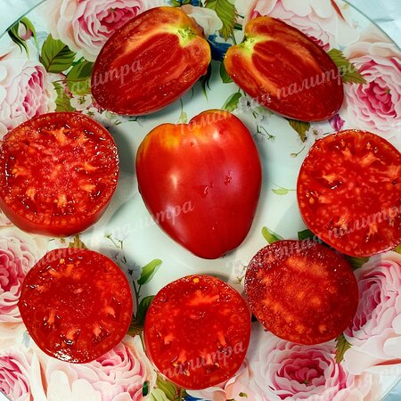 Томат ГОВЯДИНА С КУСТА