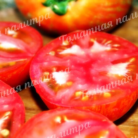 Томат КУРОЧКА РЯБА
