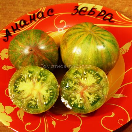 Томат Ананас Зебра (Ananas Zebra), США