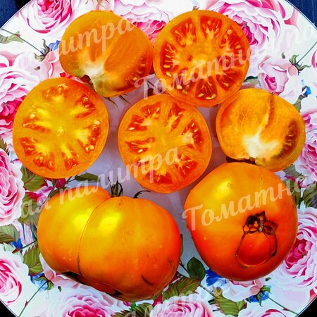 Томат ВОЛОВЬЕ СЕРДЦЕ ЗОЛОТОЕ
