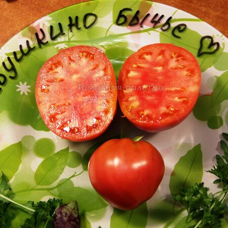 Томат БАБУШКИНО БЫЧЬЕ СЕРДЦЕ