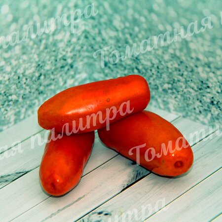 Томат ДРОВА