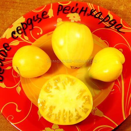 Томат Белое сердце Рейнхарда (Reinhard’s White Heart), Германия