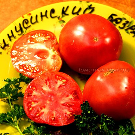 Томат Минусинский Безразмерный