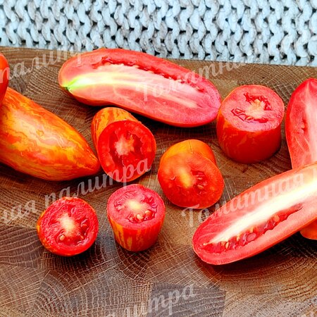 Томат Гном КАРЛИКОВЫЙ ПЕРЕЦ ПОЛОСАТЫЙ (Dwarf Pepper like striped)