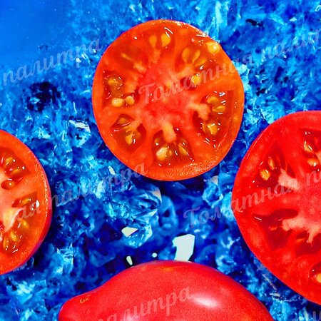 Томат Гном РОЗОВАЯ СТРАСТЬ (Dwarf Pink Passion)