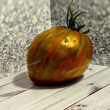 Томат БЕРКЛИ ТАЙ ДАЙ ХААТ (Berkeley Tie Dye Heart), Калифорния