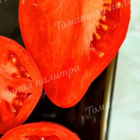 Томат ЗАИЛИЙСКИЙ АЛАТАУ КРАСНЫЙ (Алифиров)