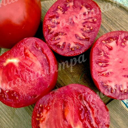 Томат СЕКРЕТ АЛИФИРОВА (красный)