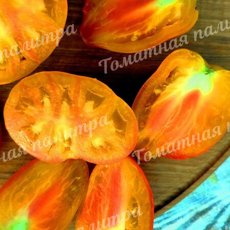 Томат Гном СОЛНЕЧНЫЙ  ПЕРСИК / ПОЦЕЛОВАННЫЙ СОЛНЦЕМ ПЕРСИК (Sunkissed Peach)