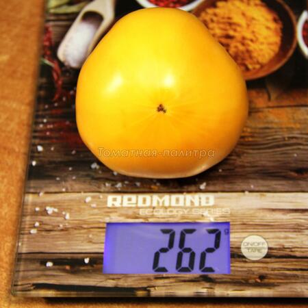 Томат Дикси Золотой Гигант (Dixie Golden Giant), США