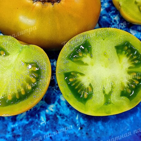 Томат Гном ЗЕЛЕНЫЙ ЛАЙМ САЛАТ /Лайм Грин Салад (Lime Green Salad)