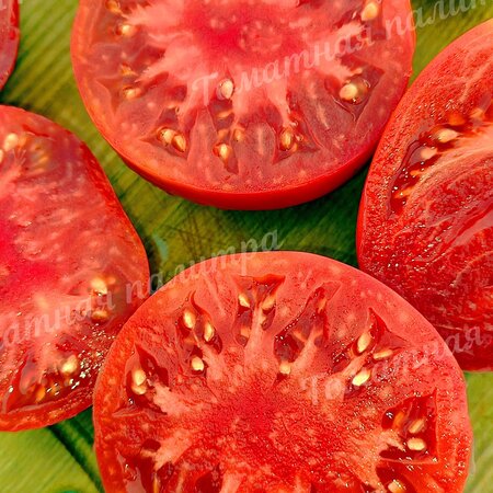 Томат НЕМЕЦКАЯ КРАСНАЯ КЛУБНИКА (German Red Strawberry), Германия