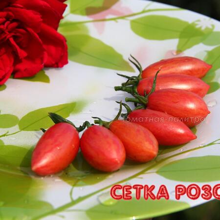 Томат  Набор САМЫЕ РАННИЕ