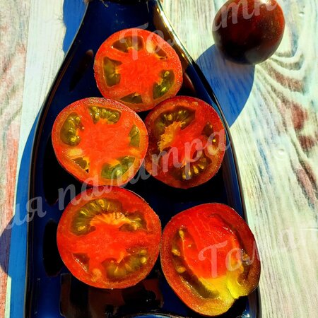 Томат ЭКСТАВАГАНТНЫЙ РУФФИАНЖ (Extravagante Rouffiange), Бельгия