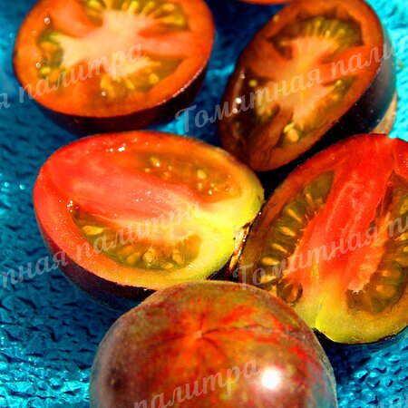 Томат ЭКСТАВАГАНТНЫЙ РУФФИАНЖ (Extravagante Rouffiange), Бельгия
