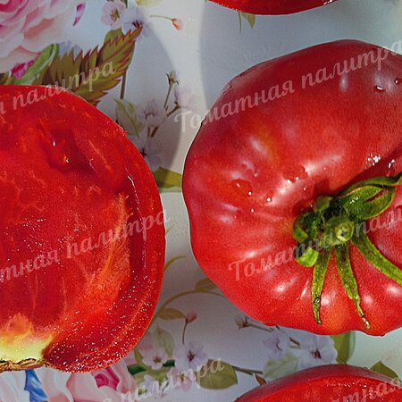 Томат СОВЕТСКИЕ (СОВЕТСКИЙ)