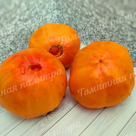 Томат ОРАНЖЕВЫЙ ОРАНГУТАН (Orange Orangutan)