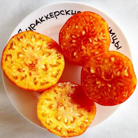 Томат Бурракерские любимцы (Burracker's Favorite), США