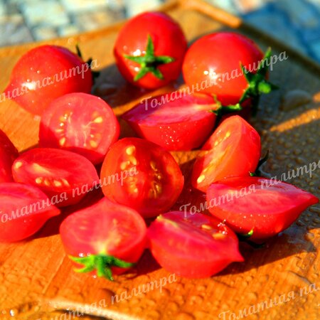 Томат ПЕНДУЛИНА КРАСНАЯ /Ред (Pendulina Red), Швеция.