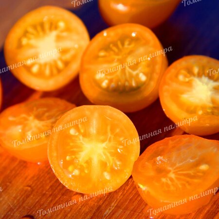 Томат ПЕНДУЛИНА ОРАНЖЕВАЯ (Pendulina Orange), Швеция.