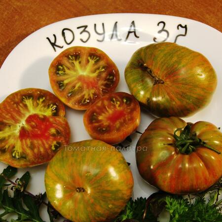 Томат Козула 37 (Kozula 37), Польша