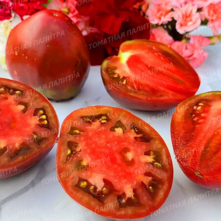 Томат БЫЧОК ЧЕРНЫЙ (Алифиров В.Г.)