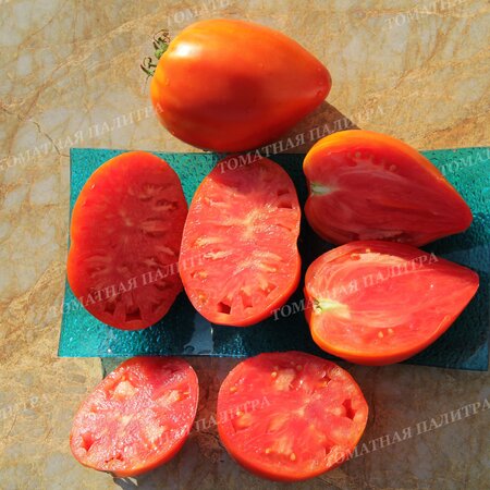 Томат ПОЛЬСКАЯ СЛИВА ТЁТУШКИ СВАРЛО (Aunt Swarlos Polish Plum).