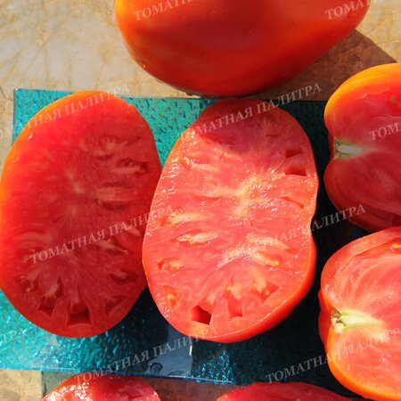 Томат ПОЛЬСКАЯ СЛИВА ТЁТУШКИ СВАРЛО (Aunt Swarlos Polish Plum).