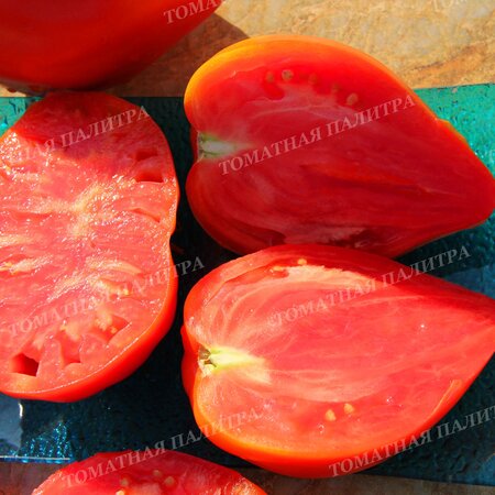 Томат ПОЛЬСКАЯ СЛИВА ТЁТУШКИ СВАРЛО (Aunt Swarlos Polish Plum).