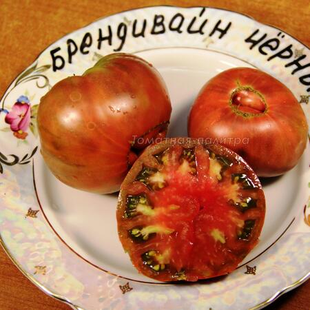 Томат Брендивайн Чёрный (Brandywine Black), США