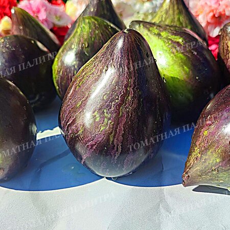 Томат ИЗУМРУДНАЯ ПАРЧА