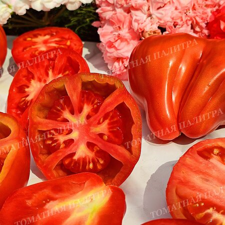 Томат МАМА МИЯ (Mama Mia), Италия