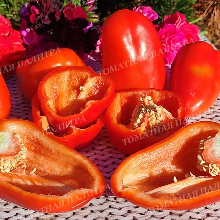 Томат Перец СОВЕТСКИЙ