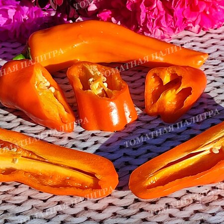 Томат Перец ЗОЛОТОЙ МЕДОВЫЙ ПИППИНА (Pippin's Golden Honey), США.