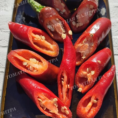 Томат Перец МУРАСАКИ ТОГАРАШИ ЯМАТО/МУРАСАКИ ПУРПЛ (Murasaki Purple Pepper)