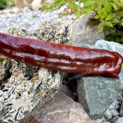 Томат Перец Палермо шоколадный (Palermo Сhocolate)