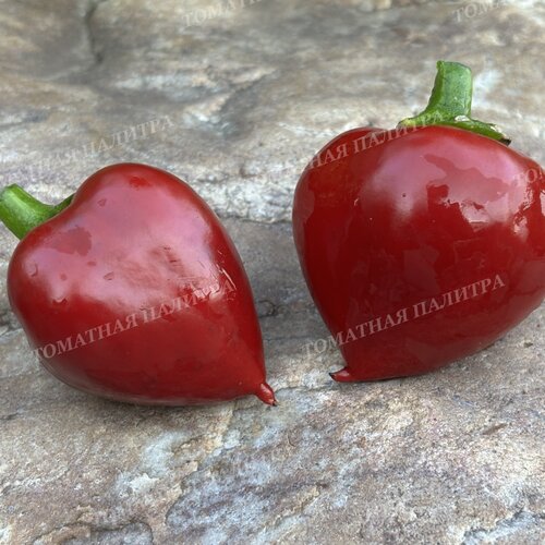 Томат Перец ЛИТТЛ ХЭТ / МАЛЕНЬКОЕ СЕРДЦЕ (Little Heart)